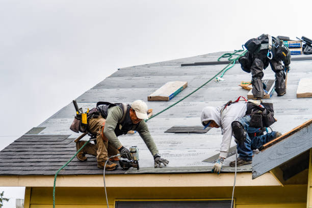 Professional Roofing technician working in Oakville, IA